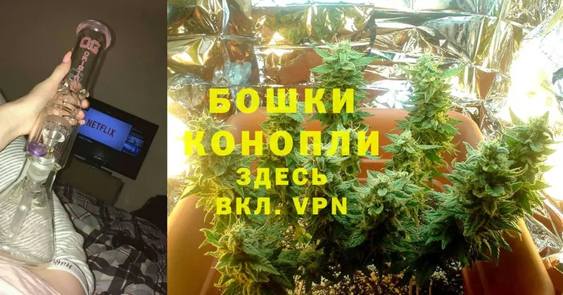 цены наркотик  Борисоглебск  Каннабис White Widow 